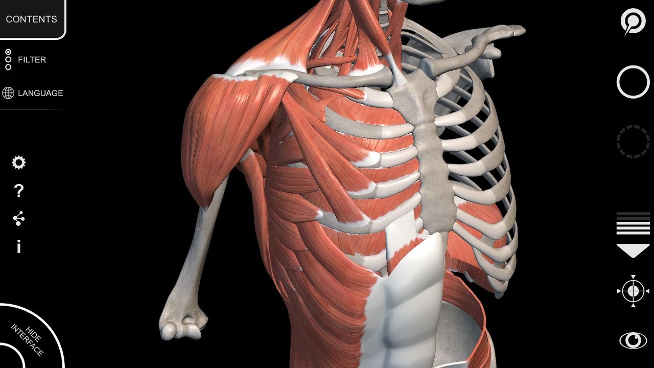 best 3d anatomy software